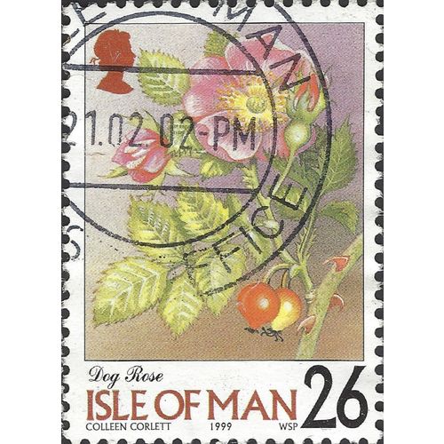 ISLE O MAN, FLOWER, Dog Rose. Rosa canina, red 1999, 26p, #4
