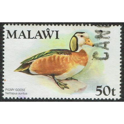 Malawi 1975 Birds (2nd Series) 50t Multicoloured SG482 GU