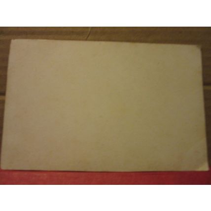 THE LAKE, BOSCOMBE CHINE, DORSET by A R Quinton, blank back antique postcard =
