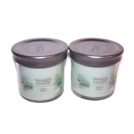 Yankee Candle Aloe & Agave Small Jar Candle Single Wick 4.3 oz - Lot of 2