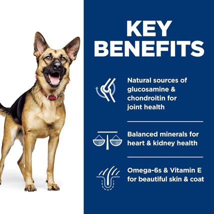 Hill'S Science Diet Large Breed, Senior Adult 6+, Large Breed Senior Premium Nut