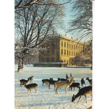 Magdalen College Oxford Postcard Unused VGC