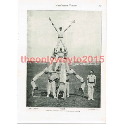Aldershot Gymnastic Staff in Pyramid WEST, Book Illustration (Print), 1895
