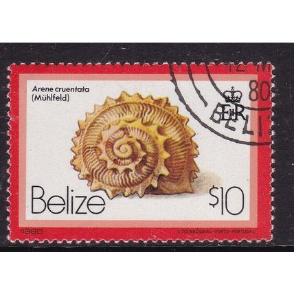 Belize 1980 Shells Star Arene $10 Fine Used SG 548 VGC