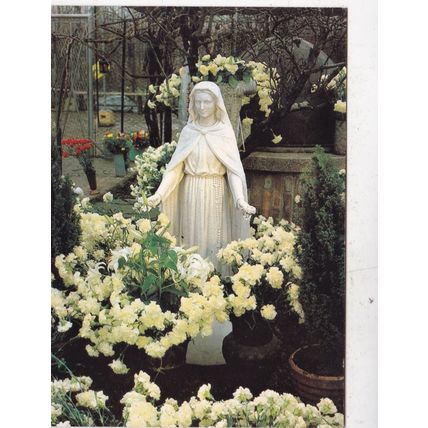 S Damiano di S Giorgio statua della Madonna Italy Postcard unused VGC