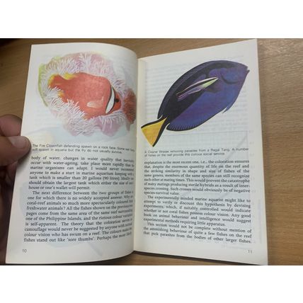 1980 "TROPICAL MARINE AQUARIA" ILLUSTRATED VINTAGE PAPERBACK BOOK (P2)