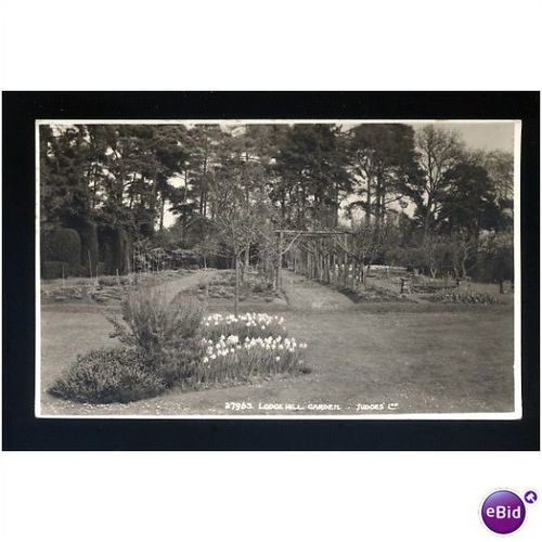 Sussex PULBOROUGH Lodge Hill Garden Postcard by Judges 27963