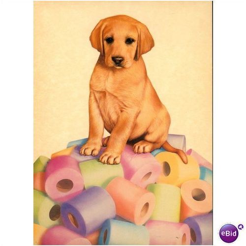 GB Postcard - Dora - by Andrew Farley