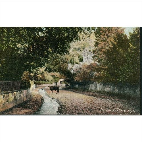 Queen Series Vintage British Postcard - Hackness, Yorkshire - The Bridge