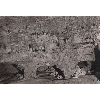 Tenovus Cancer Institute Wales Welsh Real Photo Plain Back Postcard
