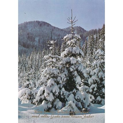 Christmas and New Year Greetings Card Germany posted 1976 VGC