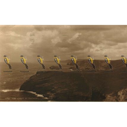 Coast At Tintagel, Cornwall, 11721 Judges Postcard, 1933