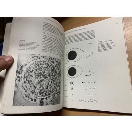 1969 "BIOLOGY - INTRODUCING LIVING THINGS" VINTAGE PAPERBACK BOOK (P4)
