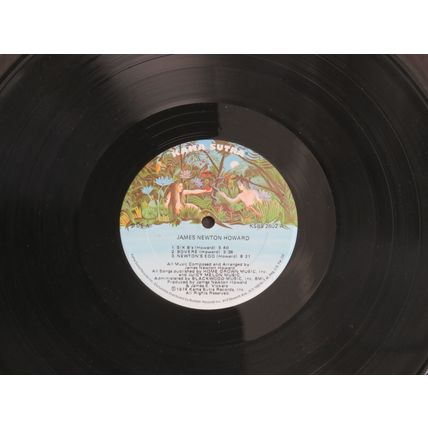 JAMES NEWTOWN HOWARD GATEFOLD VINYL LP.