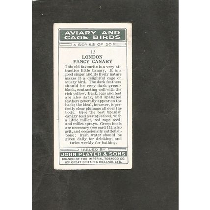 Cigarette Card Players Aviary & Caged Birds 1933 #13 London Fancy Canary