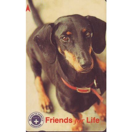 SPCA Friends For Life S'pore $3 Telephone Card (Used)