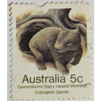 1983 Australia Queensland Hairy-nosed Wombat 5C Stamp