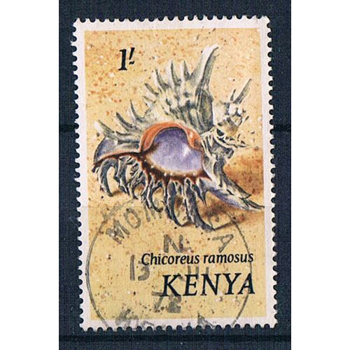 Kenya 1971 SG47a Ke1 Sea Shells 1'- Used Stamp