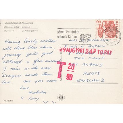 Switzerland Postcard 1981 - Naturschutzgebeit Aletschwald