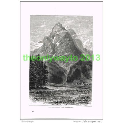 WELLHORN, FROM ROSENLAUI, SWITZERLAND, Book Illustration (Print) c1875