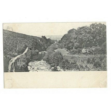 Bickleigh Vale, Devon, Undivided Back Postcard.