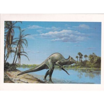 United States 1989 Dinosaurs Maximum cards set of 6 Lake Buena Vista cancel VGC