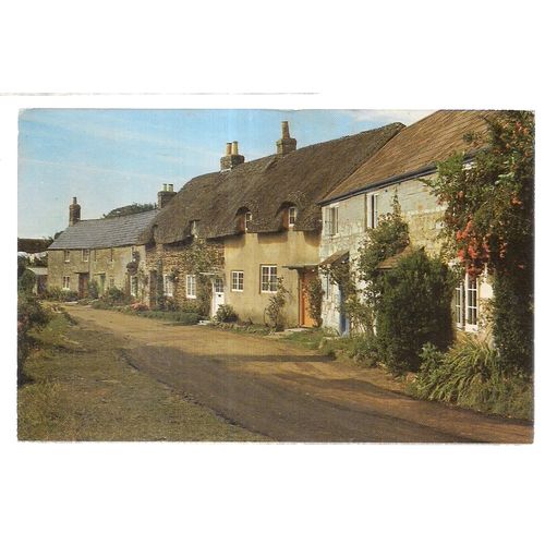 WINKLE STREET, CALBOURNE, Isle of wight used postcard 1965 postmark Nigh Cards =