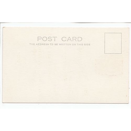 Ddraig Goch Welsh Language Translation T Wern Postcard B