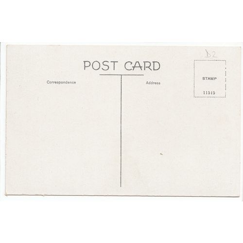 Danbury Common Essex Postcard D2