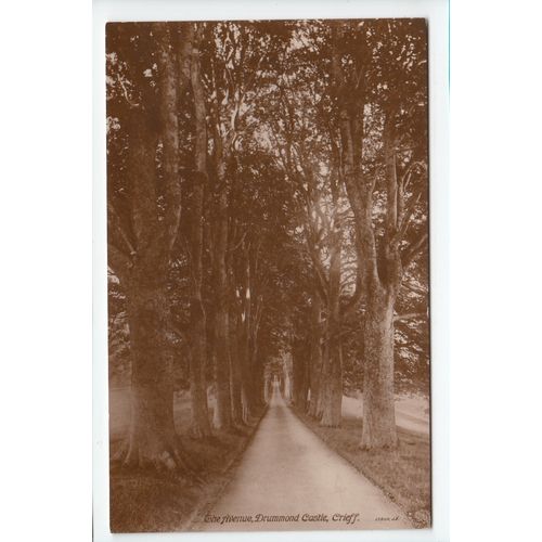 The Avenue Drummond Castle Crieff RP Postcard 13509