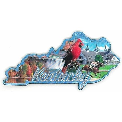 Kentucky State Outline Foil Fridge Magnet