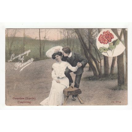 Geranium Scarlet Comforting Language of Flowers Postcard 1905