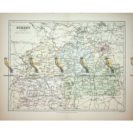 Surrey, England, Map, Book Illustration (Print), 1895