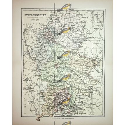 Staffordshire, England, Map, Book Illustration (Print), 1895