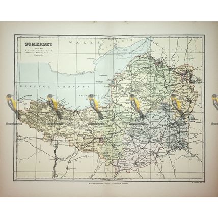 Somerset, England, Map, Book Illustration (Print), 1895
