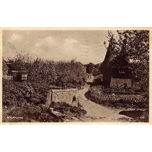 Sussex - WADHURST - PELL GREEN - Little Pell Farm - PPC - p/u 1951