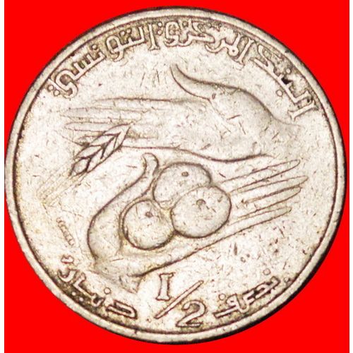 PORTRAIT: TUNISIA ★ 1/2 DINAR 1983! LOW START ★ NO RESERVE!