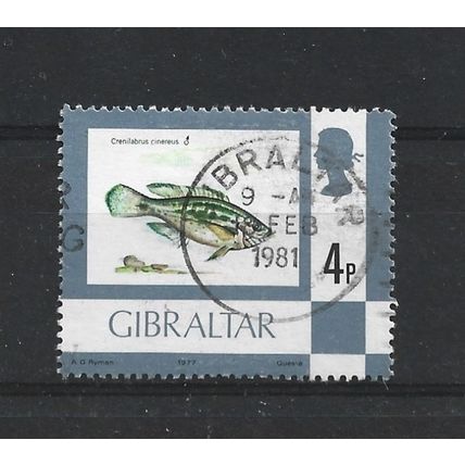 Gibraltar.SG379 4p Grey Wrasse.Fine Used.Nov23