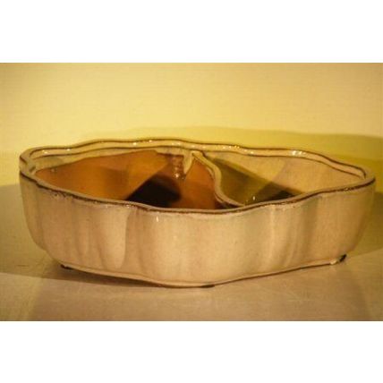 "Beige Ceramic Bonsai Pot - Oval with Scalloped Edges - Land/Water Divider 9...