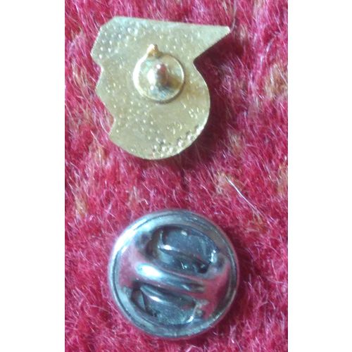 Pin Badge, Metal & Enamel: "t" Logo