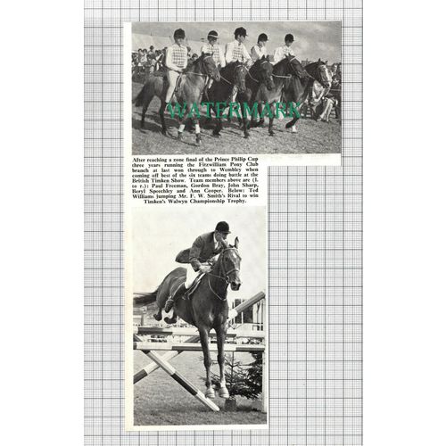 C2773) British Timken Horse Show Ted Williams Gordon Bray Speechley - 1968 Clip