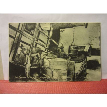 THE DONKEY WHEEL, CARISBROOKE CASTLE, ISLE OF WIGHT. unused postcard T. Piper =