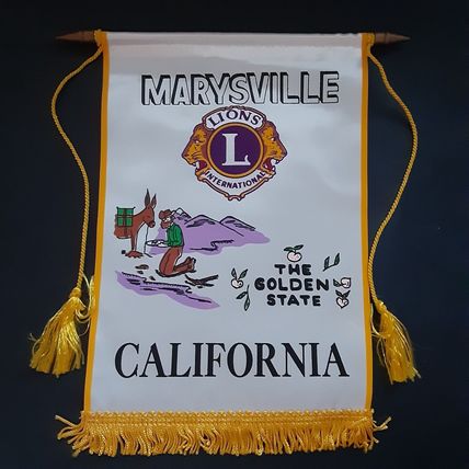Lions Club International Banner Weaverville CA California "We Serve" Vintage
