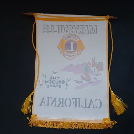 Lions Club International Banner Weaverville CA California "We Serve" Vintage