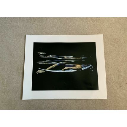 Large Wall Art Print “ Gliding Through “by Rachel Fearnley, 50cm x 40cm