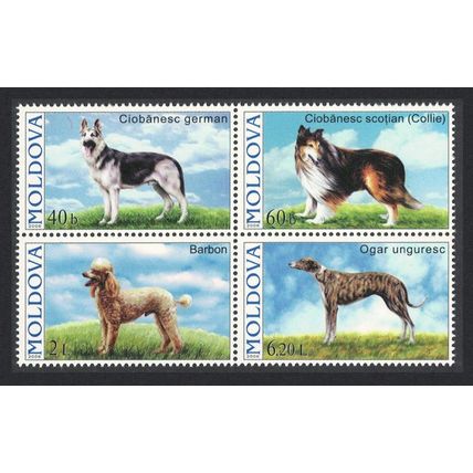 Moldova Dogs 4v Block of 4 2006 MNH SG#557-560