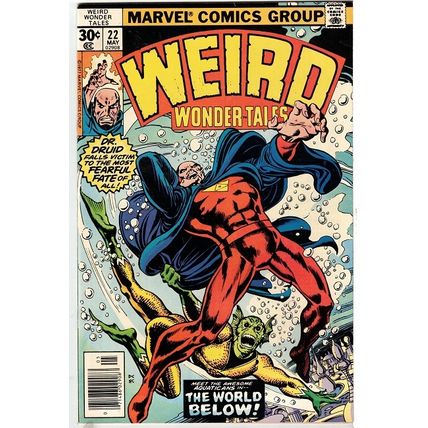 WEIRD WONDER TALES # 22