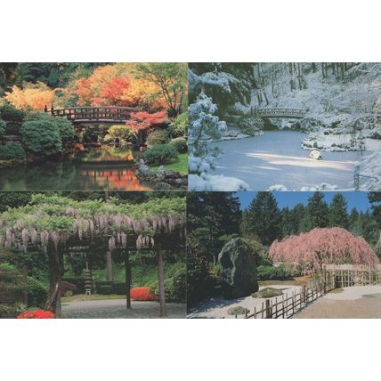 Oregon Japanese Gardens Winter Snow USA 4x Postcard s
