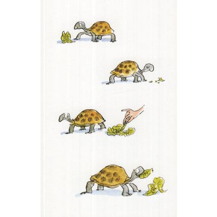 Roald Dahl Esio Trot Book Tortoise Illustration Postcard