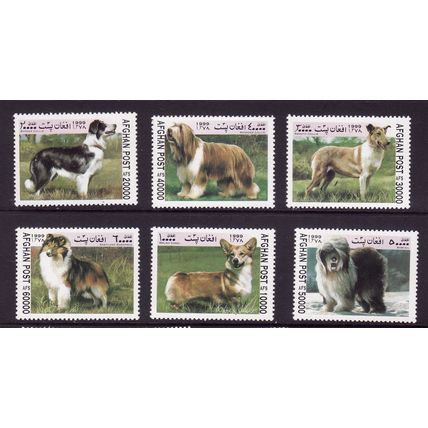 AFGHANISTAN 1999 DOGS SET 6 VALS U/M MINT#4